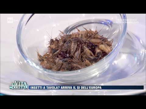 Quello che espelle vermi Sintomi dinfezione con helminths al bambino