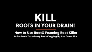 Get Rid of Sewer Line Roots & Keep them Away!