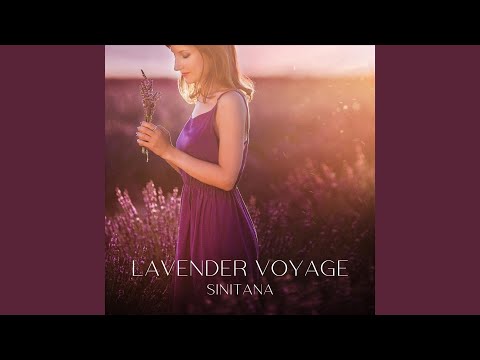 Lavender Voyage