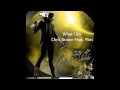 Chris Brown - What I Do (Feat. Plies & DJ Khaled ...