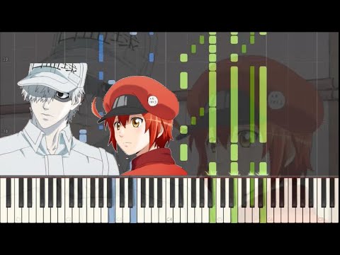 Hataraku Saibou!! GO!GO!Saibou Festa Kana Hanazawa・Tomoaki Maeno・Daisuke Ono・Kikuko Inoue・Yuusuke Kobayashi・Yuuri Yoshida