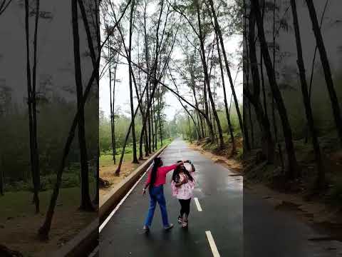 #shorts #viral #jungle #forestsounds