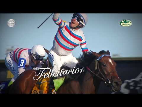 DONA BRUJA - Debut con triunfo en USA - Mint Julep Handicap (G3)