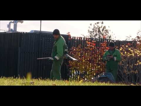 Биллик - Автосалон Синдиката