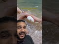 Ele Foi ATACADO Por CARRAPATOS Biomesquita Shorts