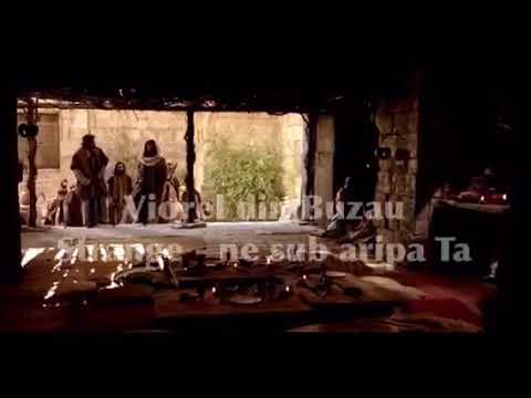 Viorel Din Buzău- Strânge-ne sub aripa ta