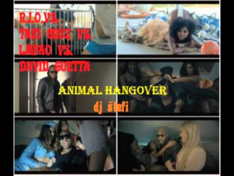 R.I.O. Vs. Taio Cruz Vs. LMFAO Vs. Avicii Vs. David Guetta - Animal Hangover (dj štefi)