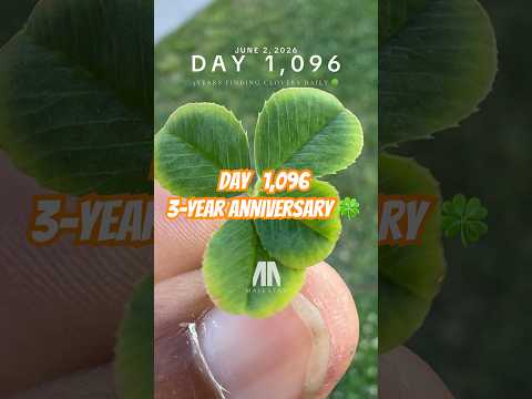 Day 1,096 of my streak. 🍀 3-Year Anniversary
