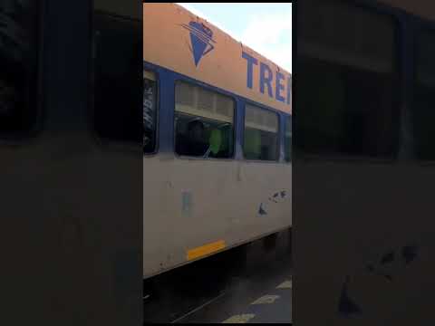 Chegada do trem patagonico na estação Eng. Jacobacci - Rio Negro - Argentina