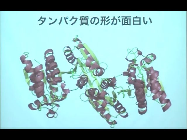 動画サムネイル