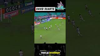 2° Gol do Bahia - David Duarte (Bahia 2x1 Botafogo) Brasileirão 30/05/2026