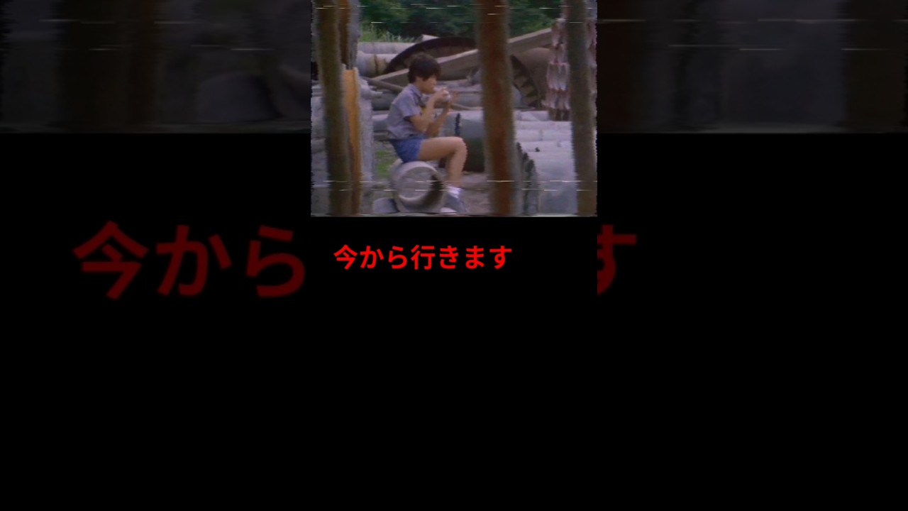 今から行きます #事件 #癒し #怪現象 #love #衝撃 #高校生 #怖い #始まってるよ #漫画 #行ってみよう #名探偵コナン #来た時よりも美しく #心霊 #ショート #いつから #かわいい