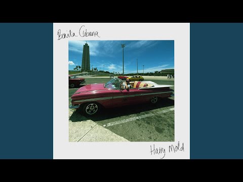 Bomita Cubana - Harry Mold