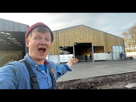 LE MUCCHE HANNO UNA NUOVA CASA!!