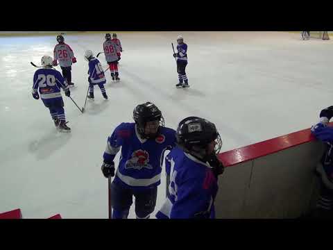 2019.03.23 MU JCK (2) HC Pilsen Wolves - HC Tabor II