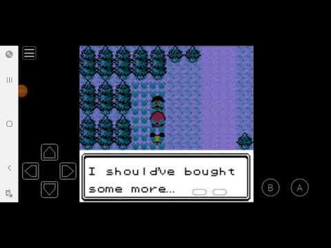 Pokemon Crystal Clear Episode 3:Route 31