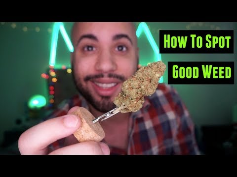 download lagu mp3 mp4 Good And Bad Weed, download lagu Good And Bad Weed gratis, unduh video klip Good And Bad Weed