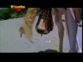 Madhuri Anil Kiss In Hifazat