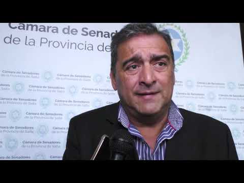 Presentaron en el Senado los pedidos para prorrogar el Presupuesto 2023 y las Emergencias Económica y Sociosanitaria