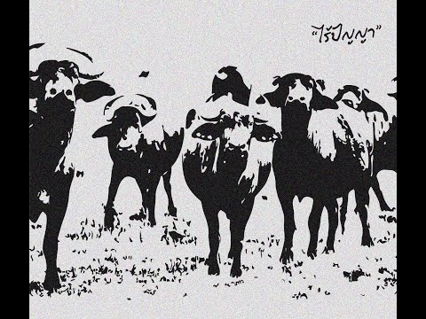 ไร้ปัญญา - Asss