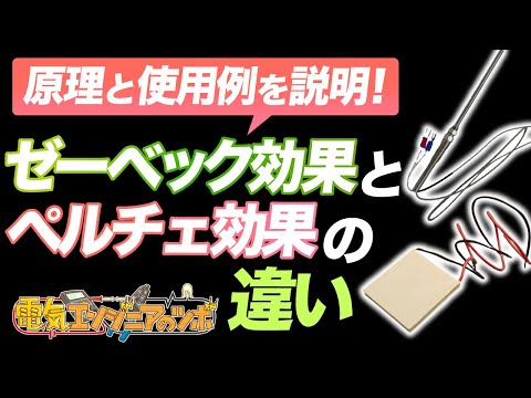 クリスチャン・エイクマンについて詳しく解説