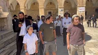 סליחות בהר-הבית עם הישיבה והרב אלישע (ישיבת הר הבית) - התמונה מוצגת ישירות מתוך אתר האינטרנט יוטיוב. זכויות היוצרים בתמונה שייכות ליוצרה. קישור קרדיט למקור התוכן נמצא בתוך דף הסרטון סליחות בהר-הבית עם הישיבה והרב אלישע (ישיבת הר הבית) - התמונה מוצגת ישירות מתוך אתר האינטרנט יוטיוב. זכויות היוצרים בתמונה שייכות ליוצרה. קישור קרדיט למקור התוכן נמצא בתוך דף הסרטון