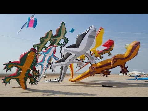 Al Farsi International Kite Festival 2016. Kuwait