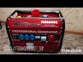 Электрогенератор Walter Stahl PR8500WS