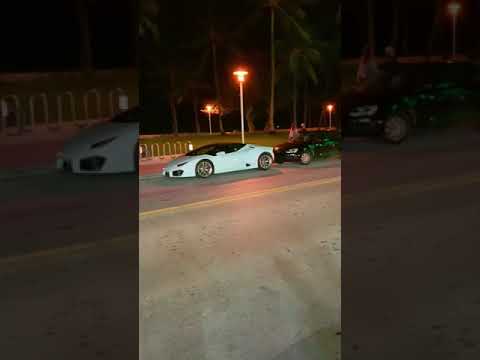 🇺🇸Miami/Orlando - Com Renan Nunes