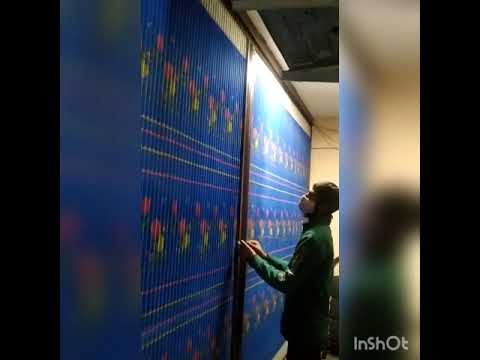 Mosquito Net Door