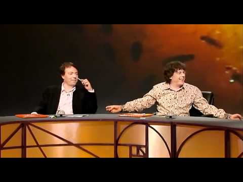 QI - Weightless Flies