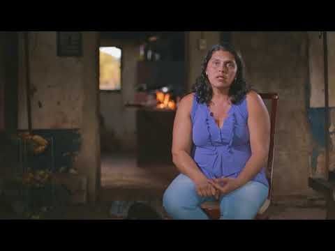 Campanha Institucional 2017