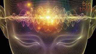 The Neuroelectricity of Flow States, with Steven Kotler