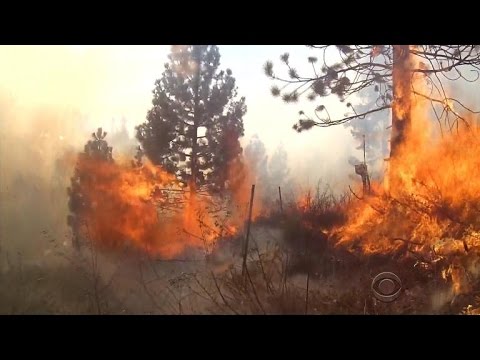 Researchers: Wildfires aren't being fought correctly
