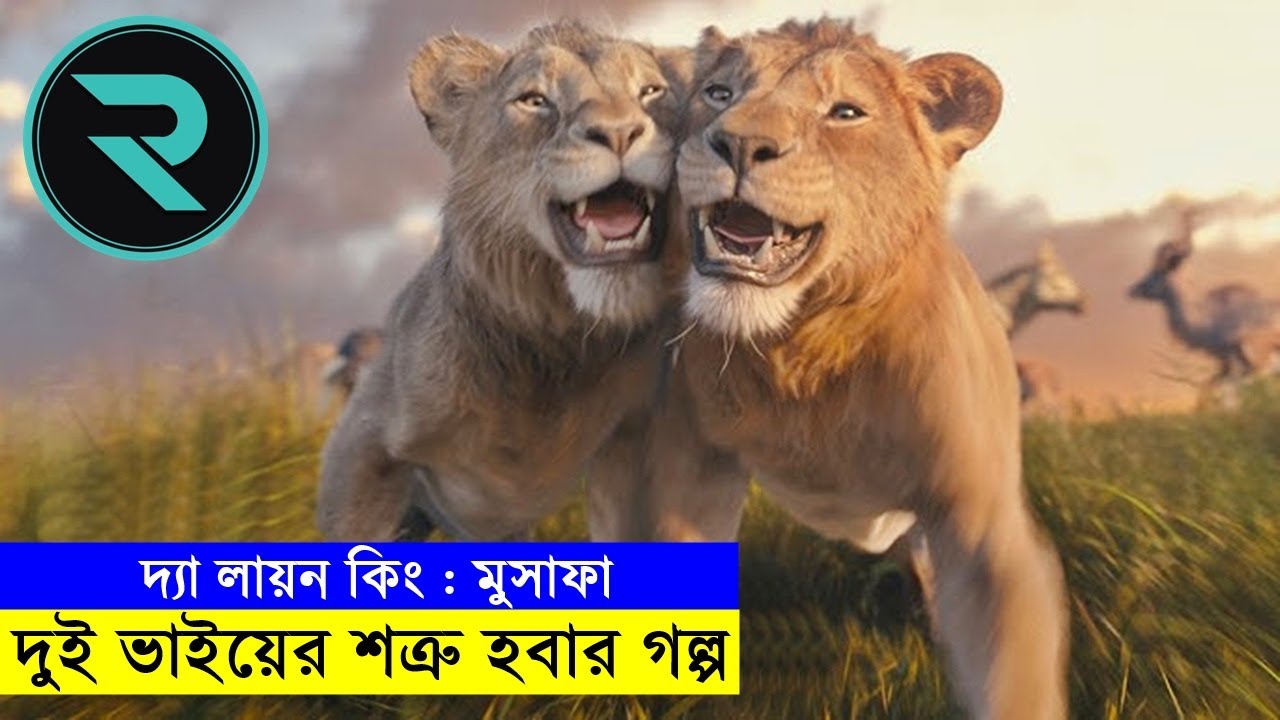 দুই ভাইয়ের শত্রু হবার গল্প Explain In Bangla | Random Animation | Random Video channel
