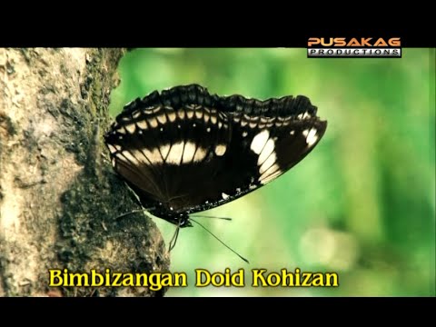 Bimbizangan Doid Kohizan - Datuk Pat Michael