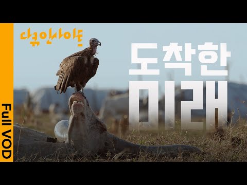 올여름 최악의 더위가 온다? 두바이 홍수, 미국 가뭄 등 지구가 인류에게 보내는 경고의 신호 ㅣ KBS 다큐인사이트 - 도착한 미래 24.04.18 방송