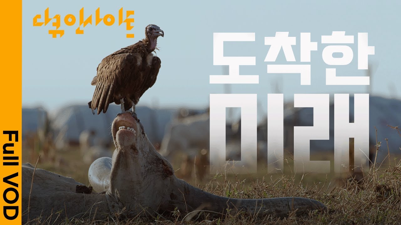 올여름 최악의 더위가 온다? 두바이 홍수, 미국 가뭄 등 지구가 인류에게 보내는 경고의 신호 ㅣ KBS 다큐인사이트 - 도착한 미래 24.04.18 방송