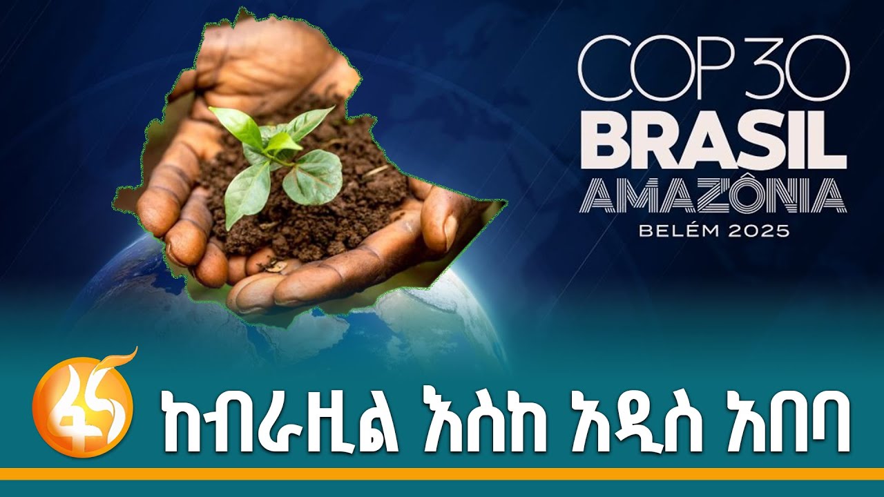 ደኑ እየተጎዳ ነው - ፋና ዳሰሳ (በሳሙኤል እንዳለ)