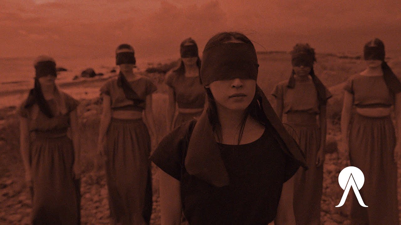 Danisz – Krew na betonie