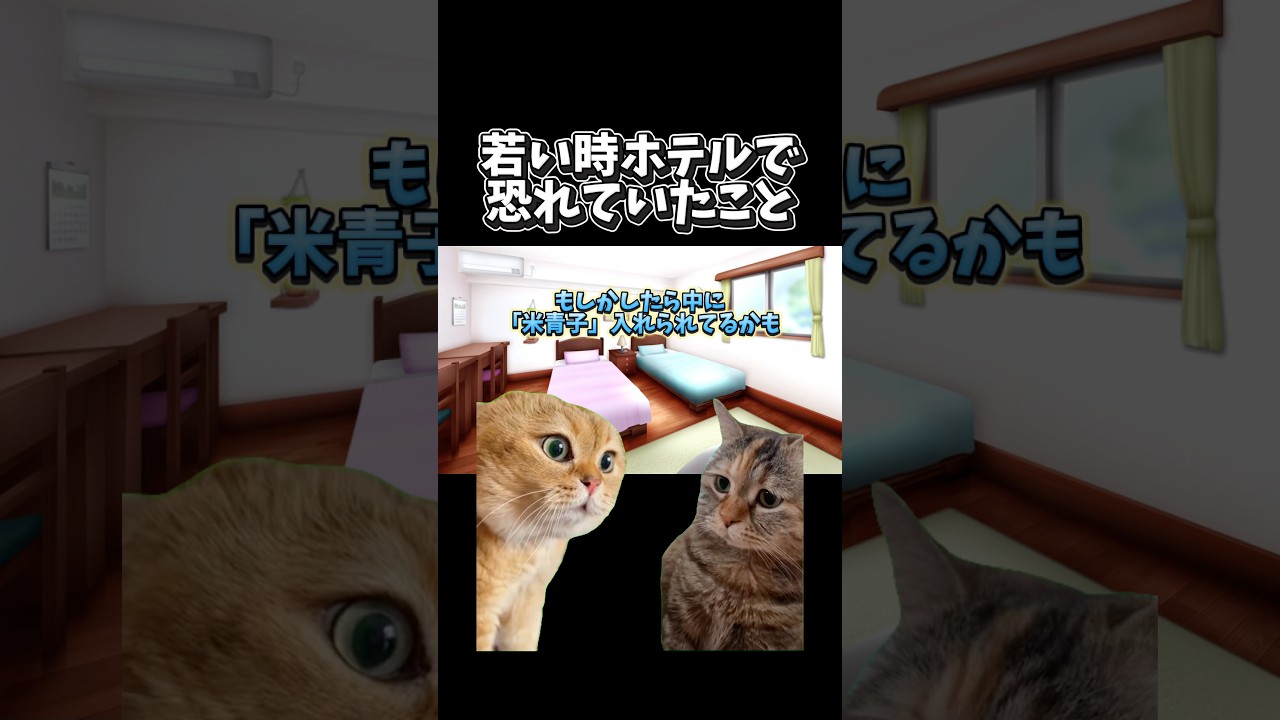 【猫ミーム】若い時ホテルで恐れていたこと