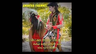 Download lagu Story WA jaranan_ Tresno Kepenggak Morotuwo mp3
