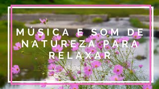 Msica de natureza para relaxar