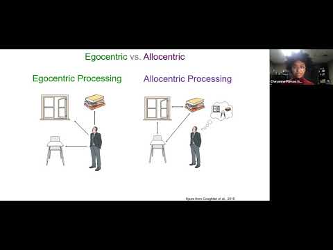The Impact of Stress on Spatial Navigation in Younger and Older Adults