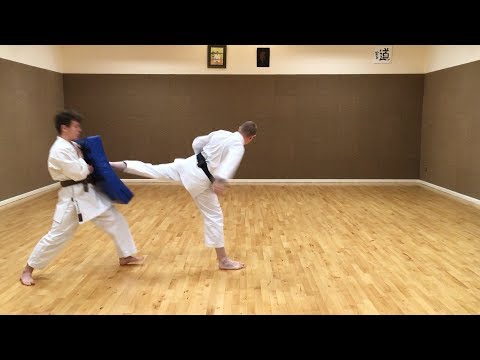 Ushiro-geri (Back kick)