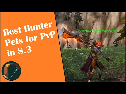 WoW Survival Hunter PvP Pet Guide - Which Pets You Should Use In BfA 8.3