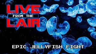 EPIC JELLYFISH FIGHT | Live From The Lair