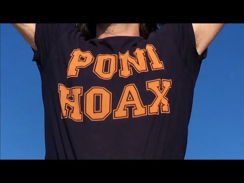 Poni Hoax - The Wild (Official Video)