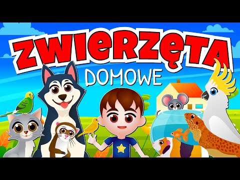 Kazio i ZWIERZĘTA DOMOWE dla dzieci 🐱 Film edukacyjny | Bajka o zwierzętach domowych