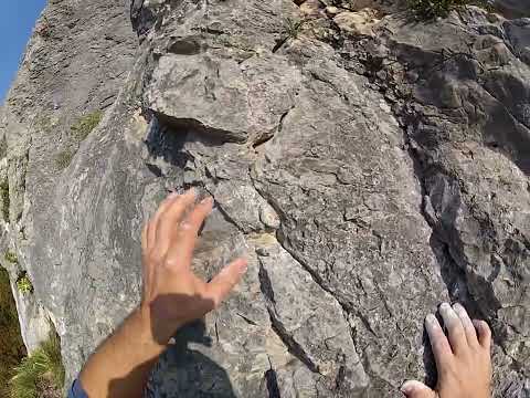 Kotečnik ~ Ježek teka teka (6a)